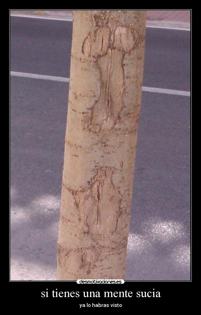 si tienes una mente sucia - 