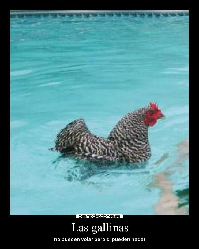 Las gallinas -