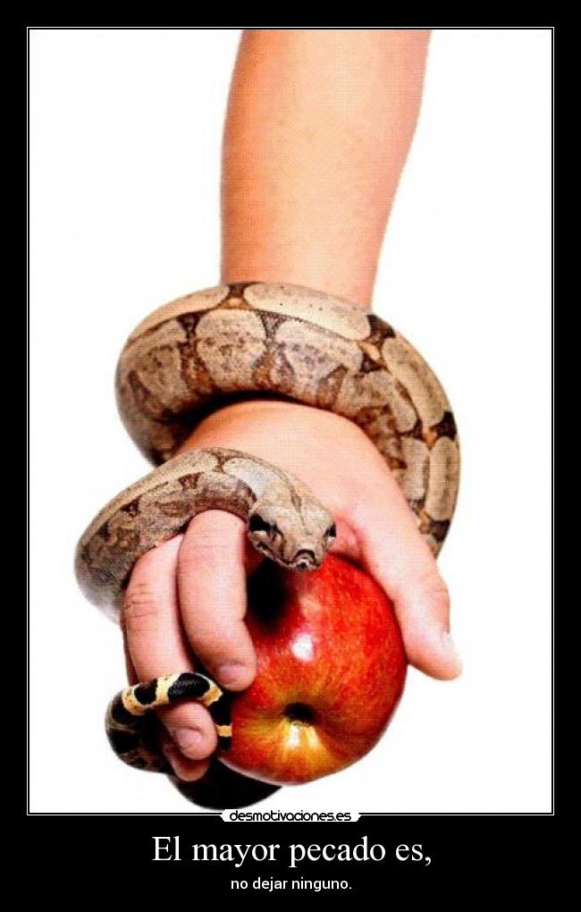 El mayor pecado es, - no dejar ninguno.