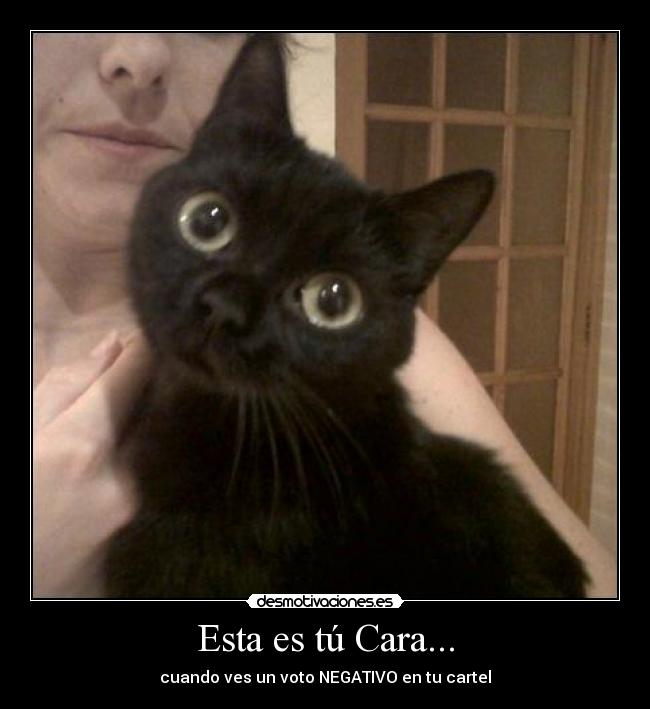 Esta es tú Cara... - cuando ves un voto NEGATIVO en tu cartel