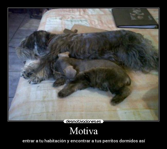 Motiva -
