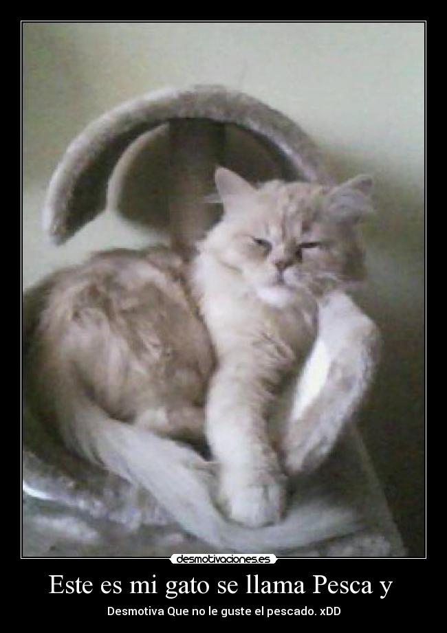 carteles xddjpg desmotivaciones