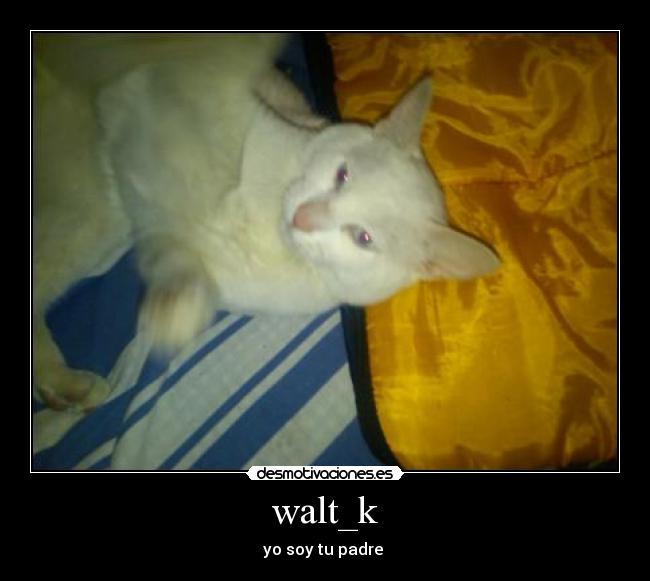 walt_k - 