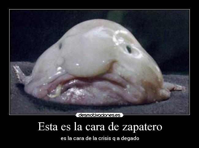 Esta es la cara de zapatero - es la cara de la crisis q a degado