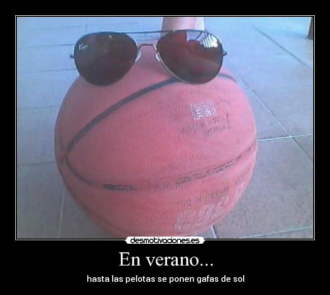 En verano... - hasta las pelotas se ponen gafas de sol