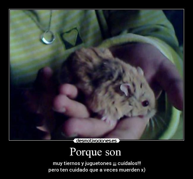 Porque son - muy tiernos y juguetones ¡¡¡ cuídalos!!!
pero ten cuidado que a veces muerden x)
