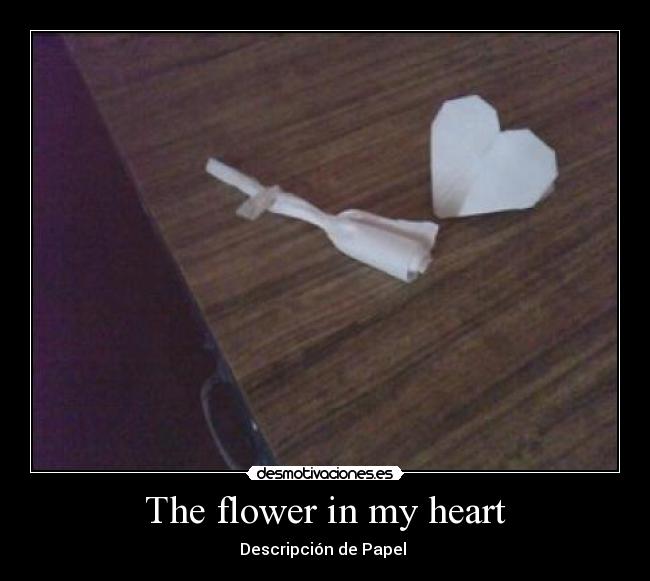 The flower in my heart -