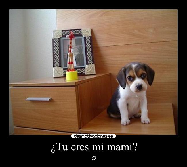 ¿Tu eres mi mami? - :3