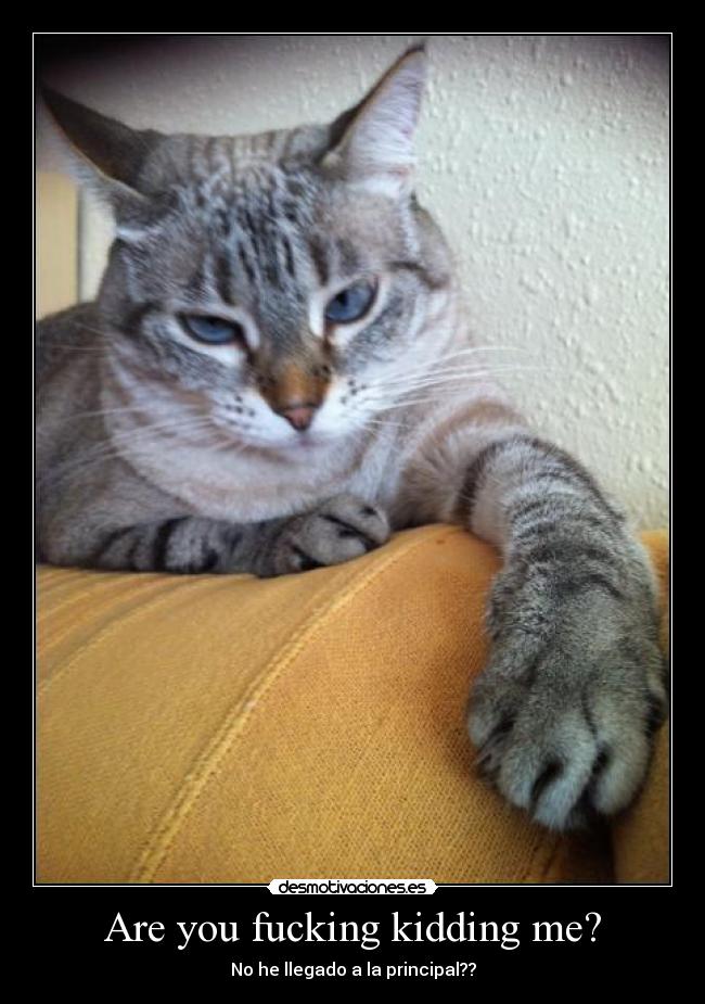 Are you fucking kidding me? -