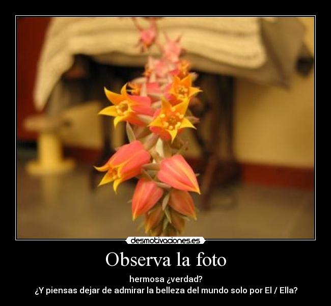Observa la foto - hermosa ¿verdad?
¿Y piensas dejar de admirar la belleza del mundo solo por El / Ella?