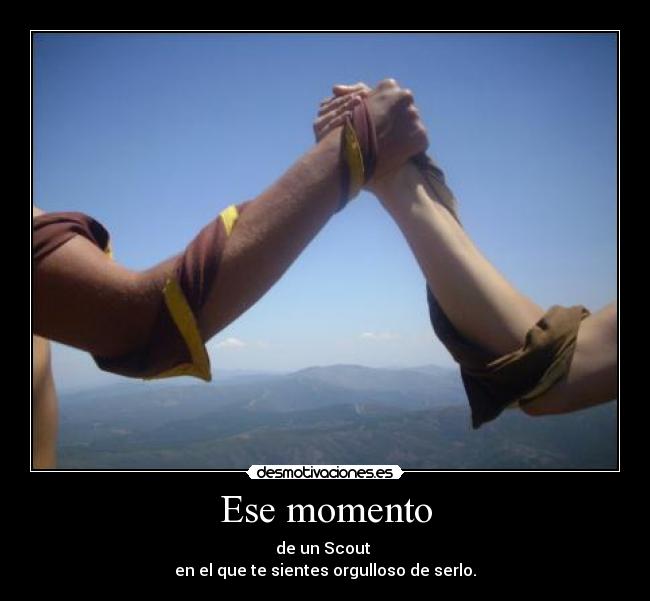 carteles sout desmotivaciones