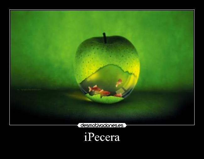 iPecera -