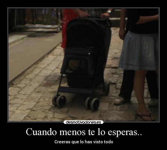 Cuando menos te lo esperas.. -