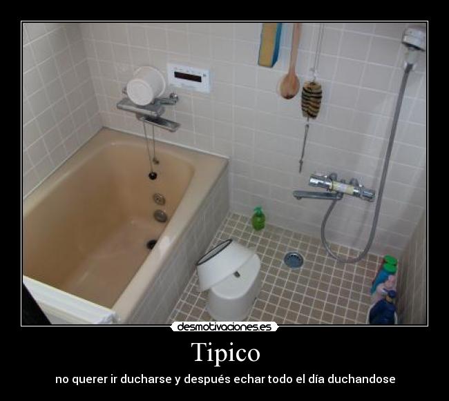 Tipico - 