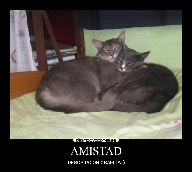 AMISTAD - 