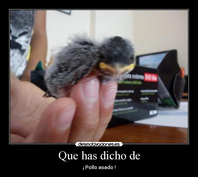 Que has dicho de - ¡ Pollo asado !