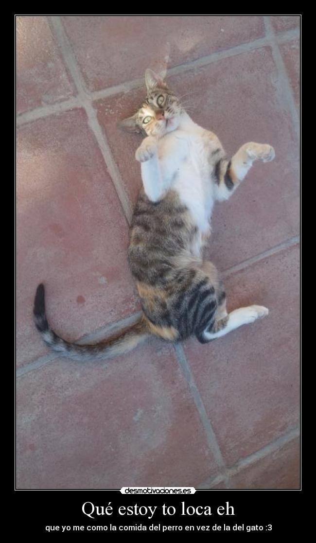 Qué estoy to loca eh -