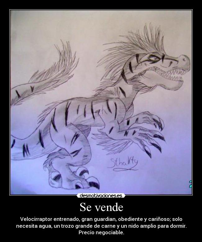 Se vende - Velocirraptor entrenado, gran guardian, obediente y cariñoso; solo
necesita agua, un trozo grande de carne y un nido amplio para dormir.
Precio negociable.