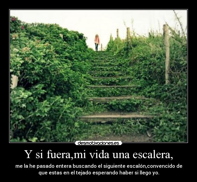 Y si fuera,mi vida una escalera, -