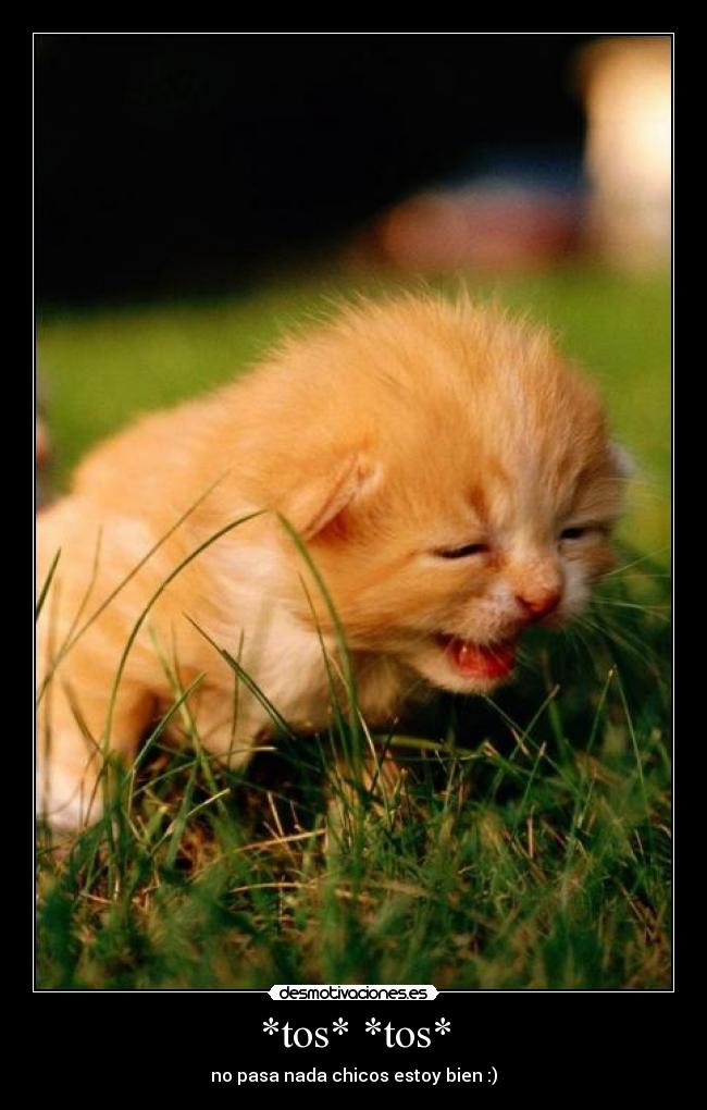 *tos* *tos* - no pasa nada chicos estoy bien :)