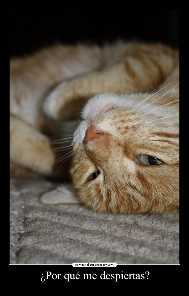 ¿Por qué me despiertas? -