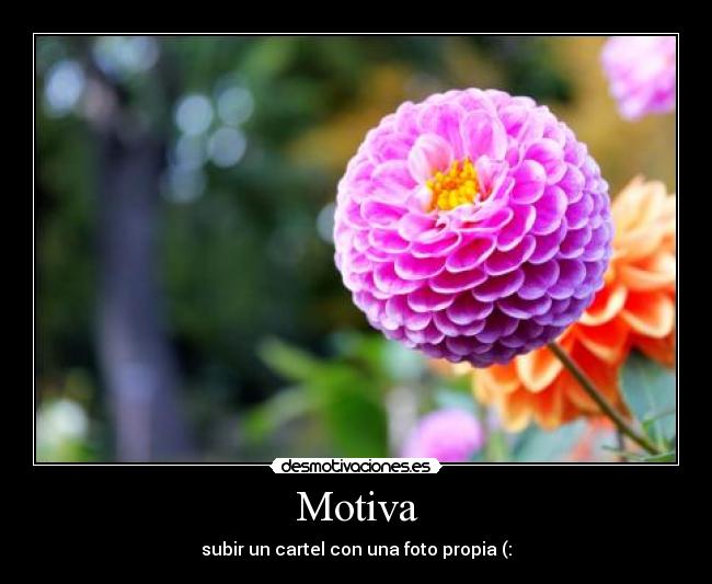 Motiva -