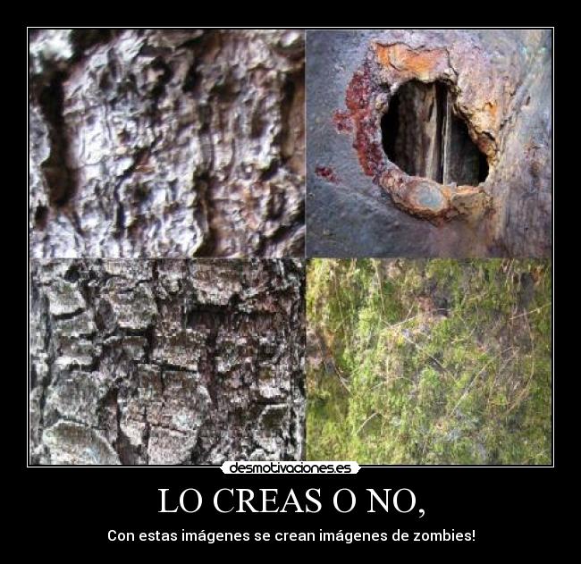 LO CREAS O NO, - Con estas imágenes se crean imágenes de zombies!
