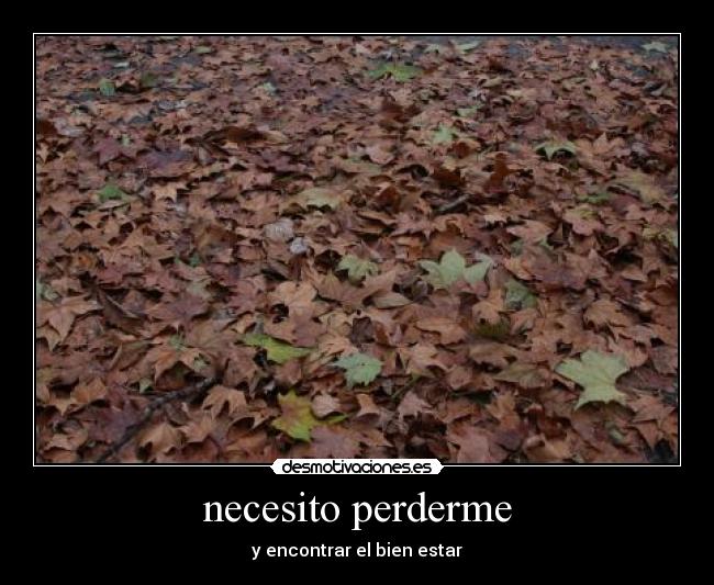 necesito perderme - y encontrar el bien estar
