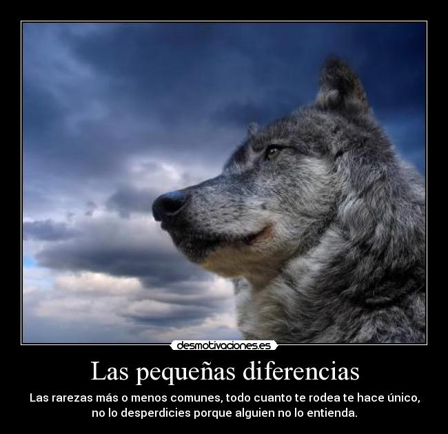 Las pequeñas diferencias - 