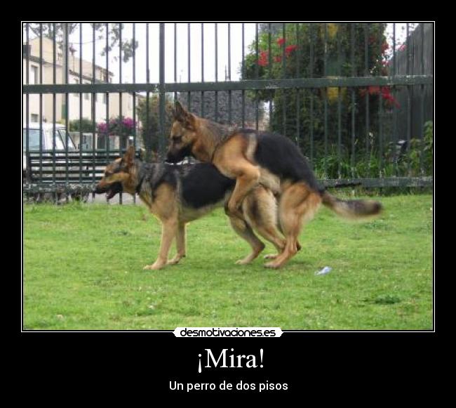 ¡Mira! -