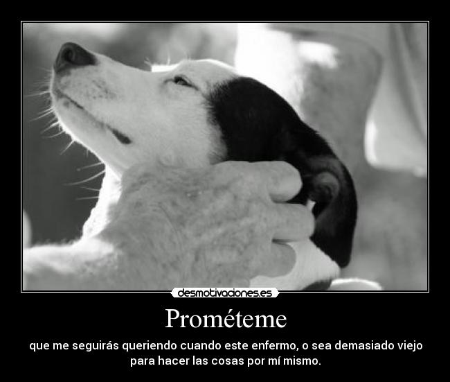 Prométeme - que me seguirás queriendo cuando este enfermo, o sea demasiado viejo
para hacer las cosas por mí mismo.