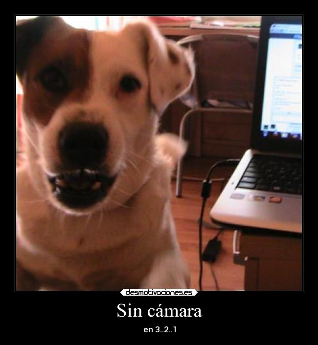 Sin cámara -