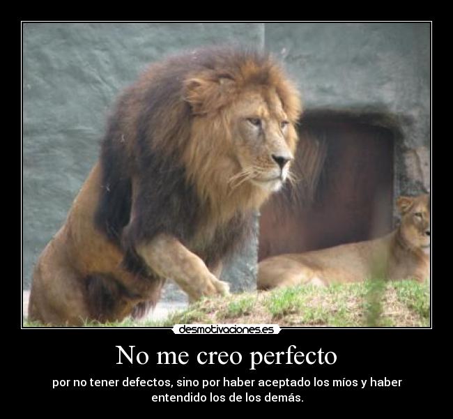 No me creo perfecto - por no tener defectos, sino por haber aceptado los míos y haber
entendido los de los demás.