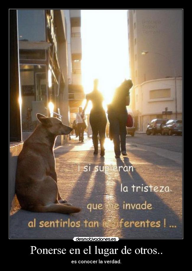 carteles roard desmotivaciones