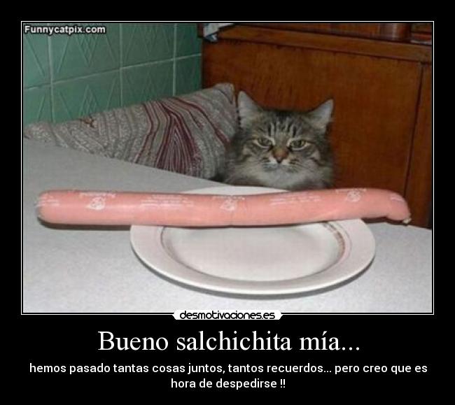 Bueno salchichita mía... - hemos pasado tantas cosas juntos, tantos recuerdos... pero creo que es
hora de despedirse !!
