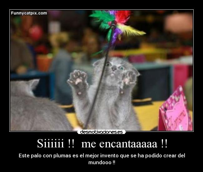 Siiiiii !!  me encantaaaaa !! - Este palo con plumas es el mejor invento que se ha podido crear del mundooo !!