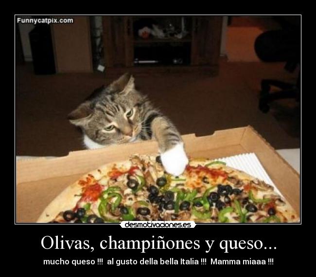 Olivas, champiñones y queso... - 