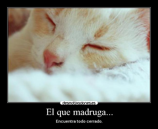 El que madruga... - 
