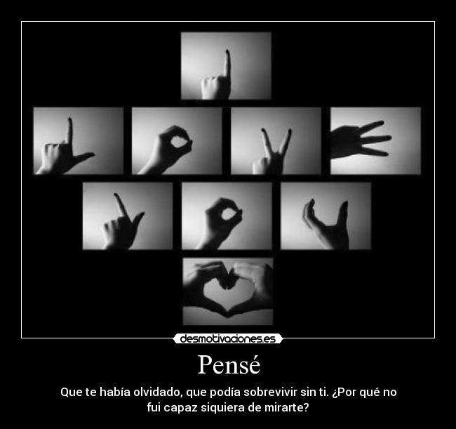Pensé - Que te había olvidado, que podía sobrevivir sin ti. ¿Por qué no
fui capaz siquiera de mirarte?