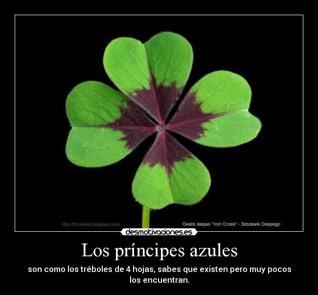 Los príncipes azules -