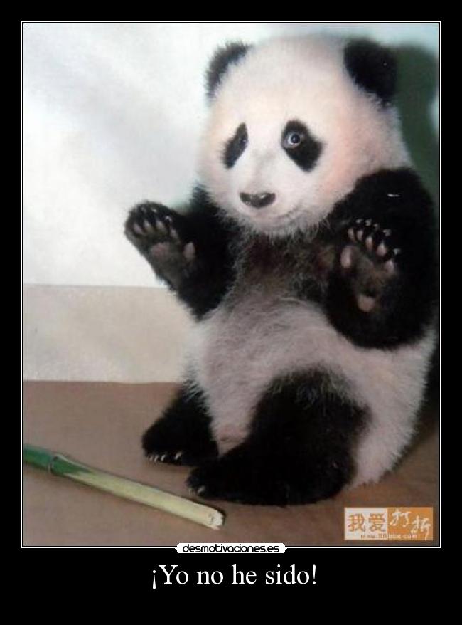 carteles sido desmotivaciones