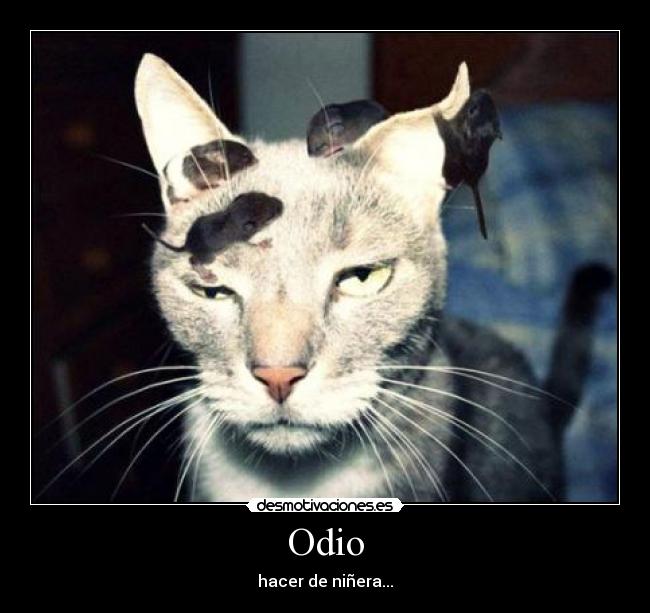 Odio - 