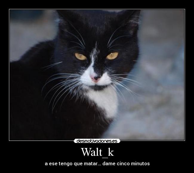 Walt_k -