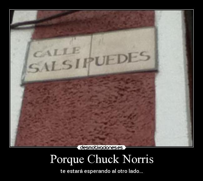 Porque Chuck Norris - 