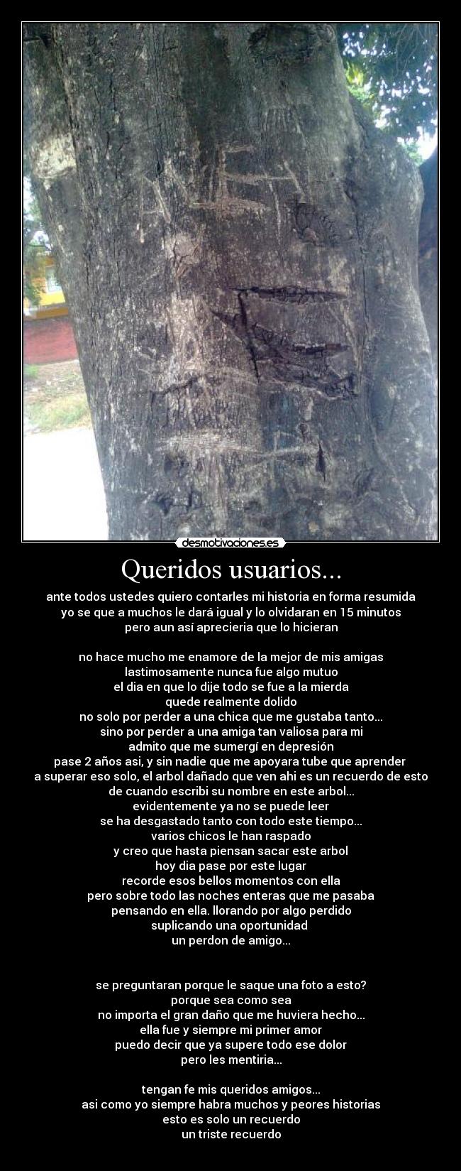 Queridos usuarios... -