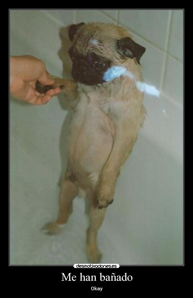 Me han bañado - Okay