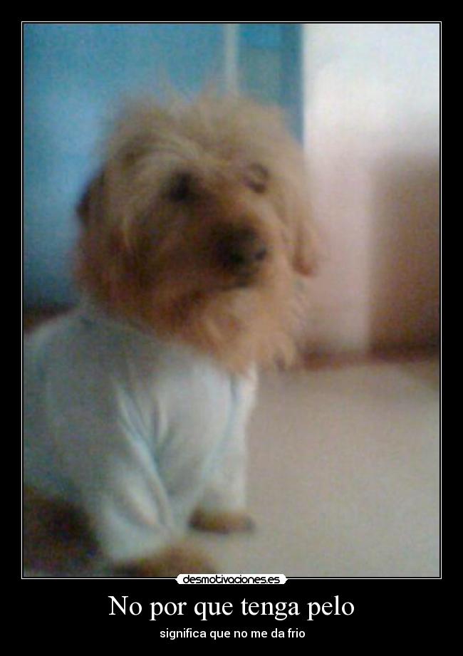 No por que tenga pelo -