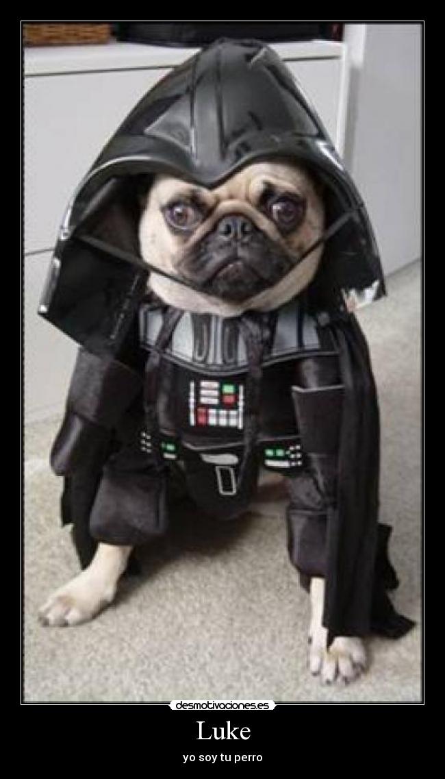 Luke - yo soy tu perro