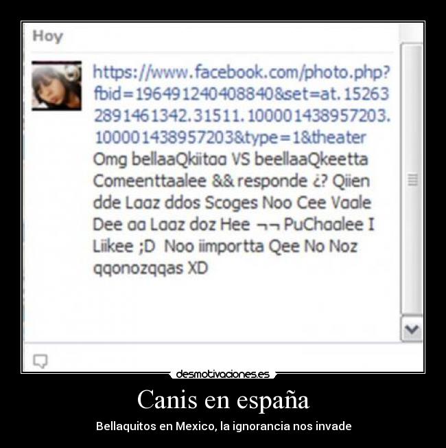 Canis en españa - Bellaquitos en Mexico, la ignorancia nos invade