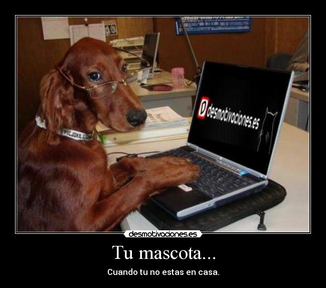Tu mascota... -